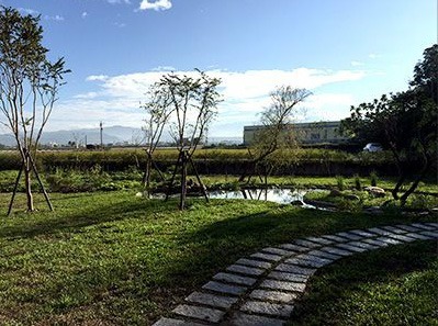 福田農場
栽種菜苗
&讀書會