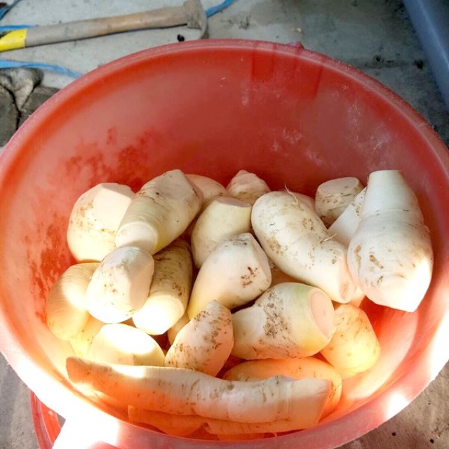 福田農場
菜頭粿