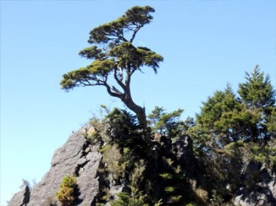 玉山主峰登山活動