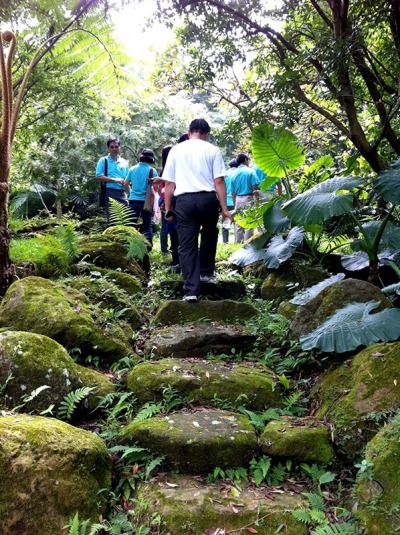 參觀新社私房景觀園藝