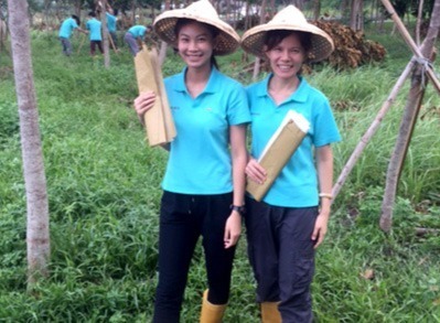 豐穀的開心農場
福田農場