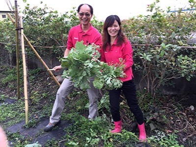 福田農場栽種菜苗&讀書會