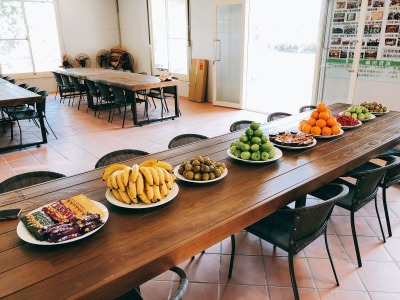 福田農場聯誼活動 控土窯&炊菜頭粿