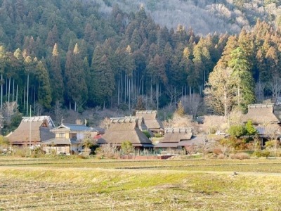 大阪京都五日遊