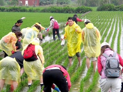 活力營舉辦田間體驗營