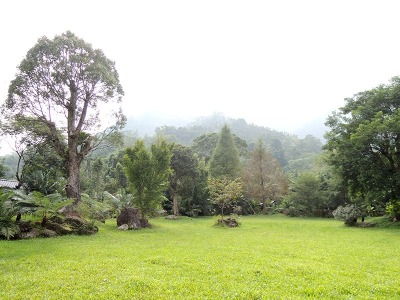 參觀新社私房景觀園藝