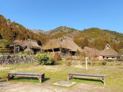 大阪京都五日遊