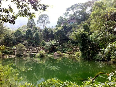 參觀新社私房景觀園藝