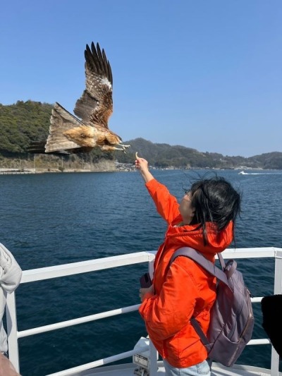 大阪京都五日遊