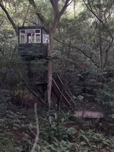 勤美學 山那村 豐穀家族冬之旅