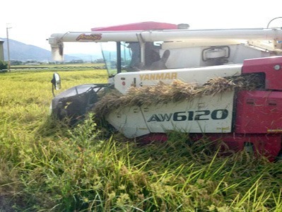 福田米，捐助弱勢團體、公益單位