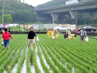活力營舉辦田間體驗營