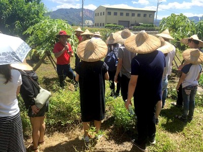 豐穀家族聯誼活動(二)