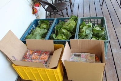 福田農場聯誼活動 控土窯&炊菜頭粿