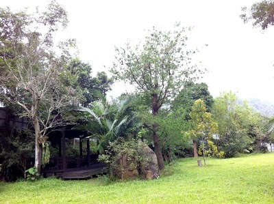 參觀新社私房景觀園藝