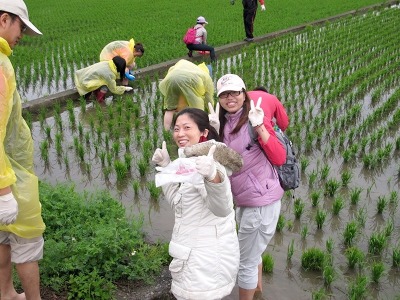 活力營舉辦田間體驗營