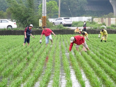 活力營舉辦田間體驗營