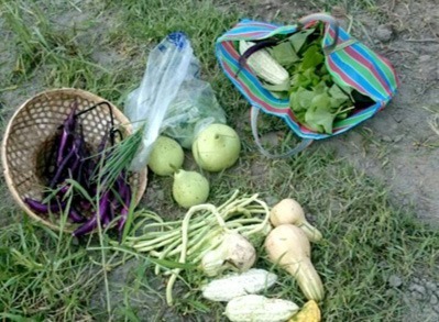 豐穀的開心農場
福田農場