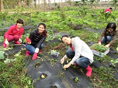 福田農場栽種菜苗&讀書會