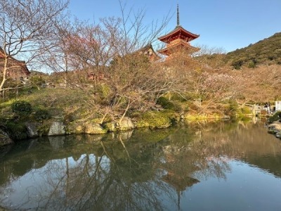 大阪京都五日遊