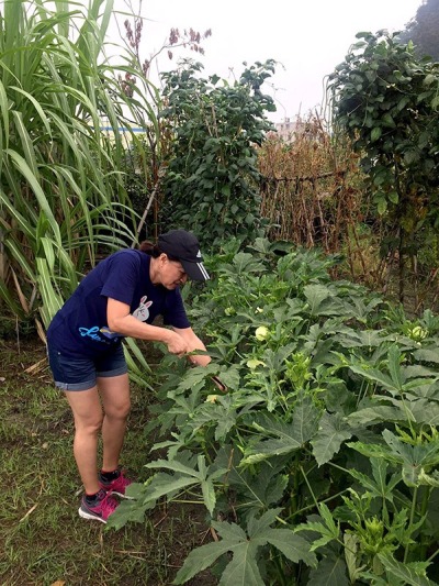大甲媽祖志工聯誼活動