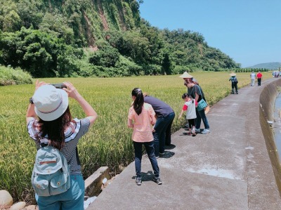 福田農場活動紅龜粿DIY