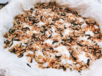 福田農場聯誼活動 控土窯&炊菜頭粿