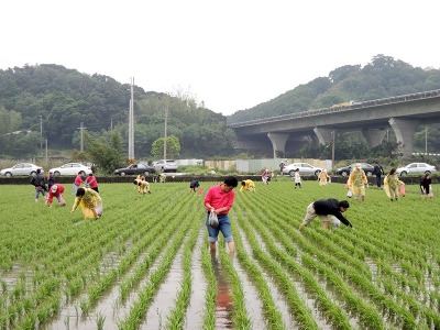活力營舉辦田間體驗營