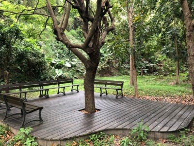 福田農場環境維護