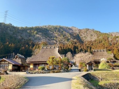 大阪京都五日遊